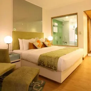 3* Hotel Olive Zone Near Delhi Airport