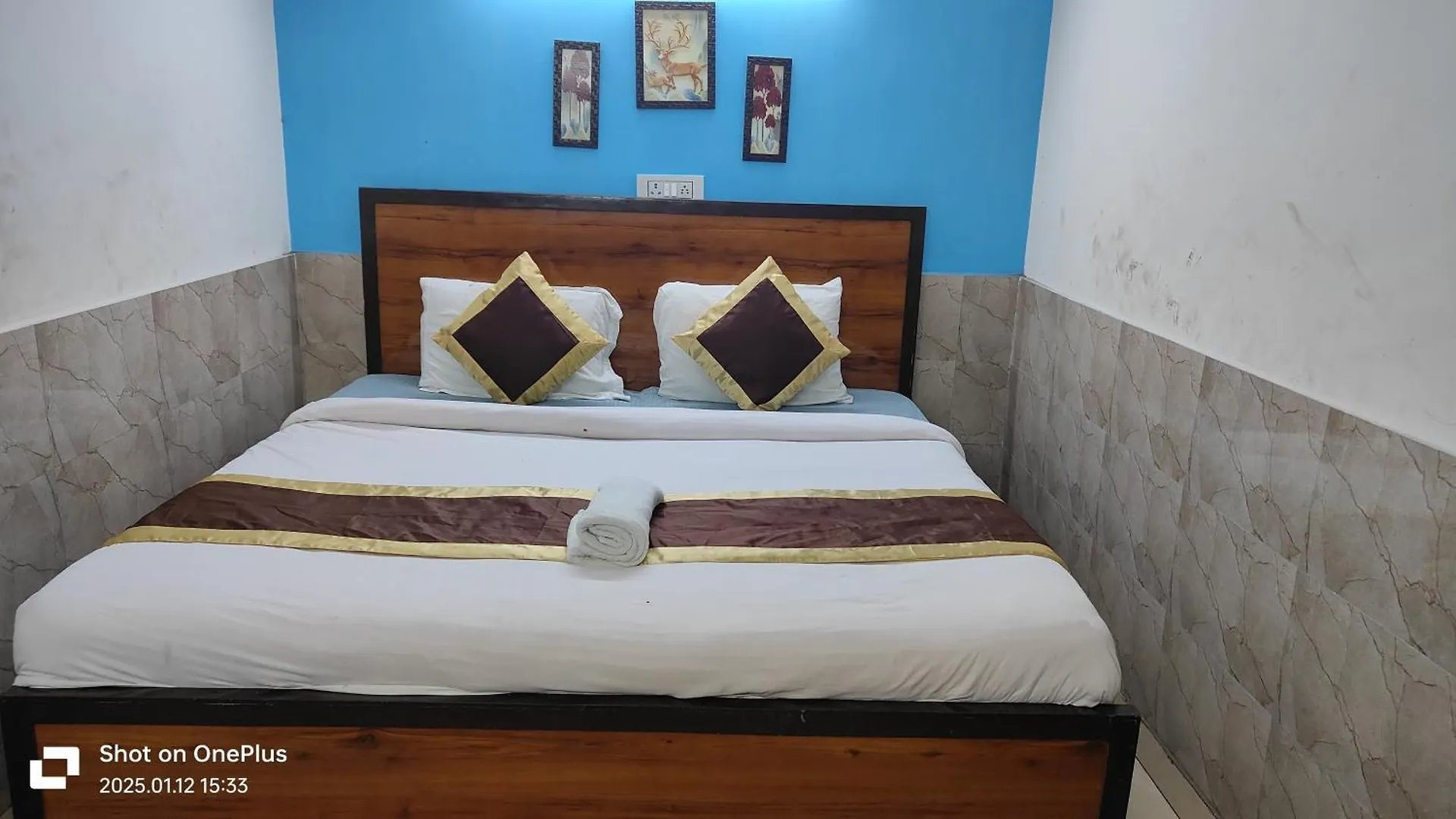 Hotel Moon Chanakyapuri Satya Niketan- Couple Friendly Nowe Delhi 3*,  Indie